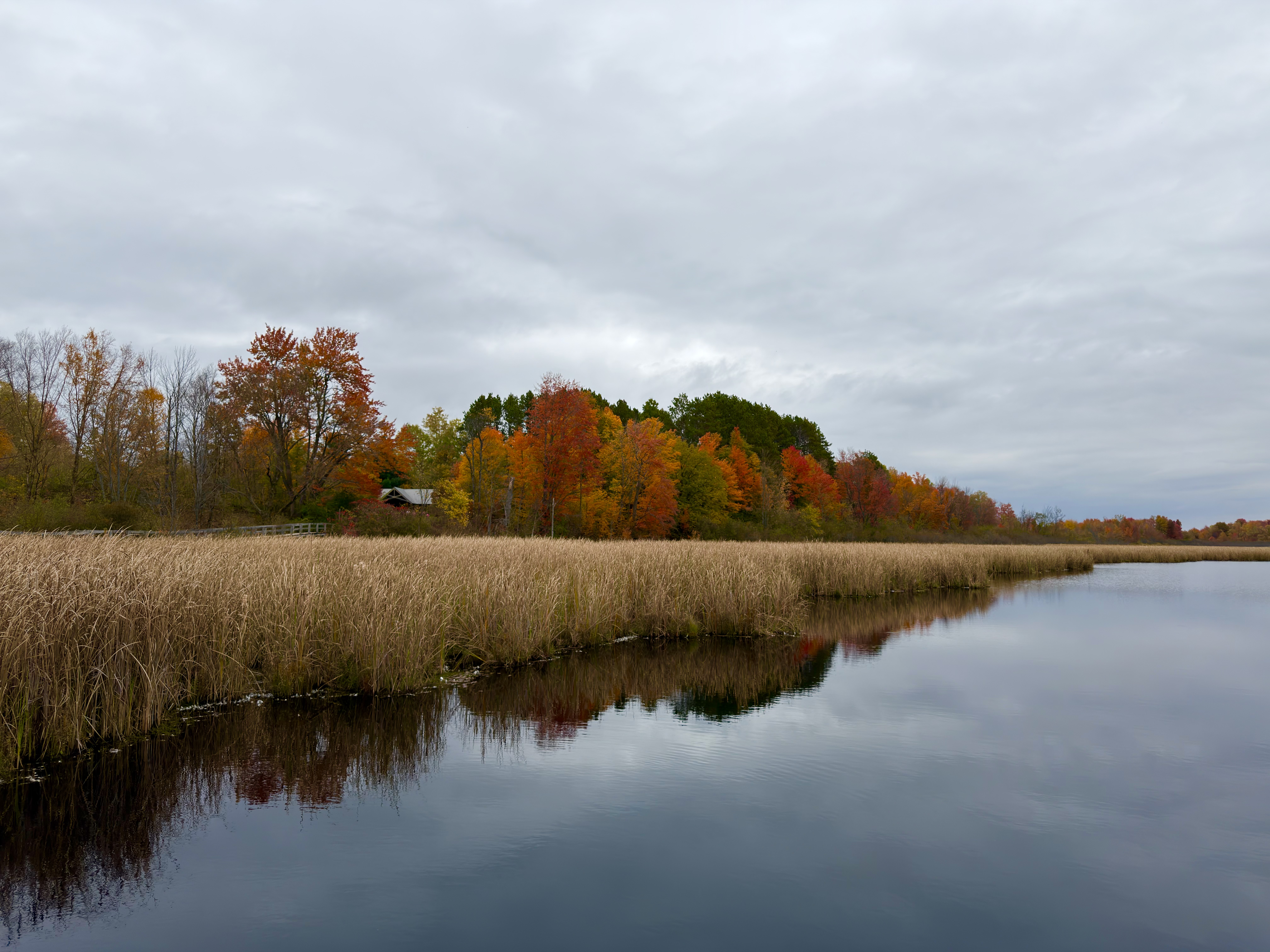 55 fun things to do in Ottawa this weekend | Oct 16-18