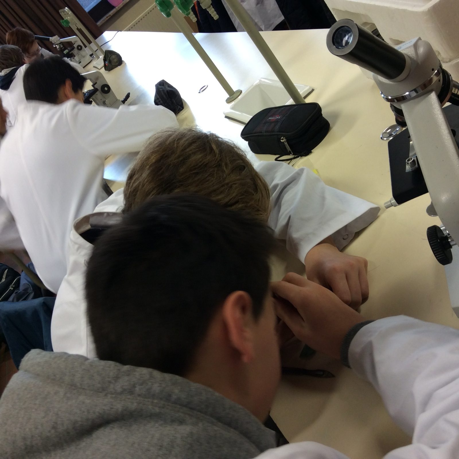 IMG_0799