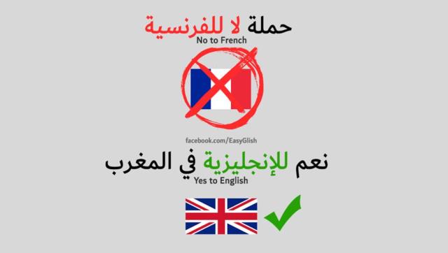 استمرار الدعوة إلى ضرورة اعتماد اللغة الإنجليزية كلغة أجنبية أولى بدل اللغة الفرنسية وتعريب الإدارة والتعليم والإعلام