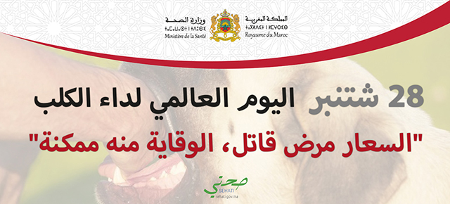 المغرب يخلد اليوم العالمي لداء السعار