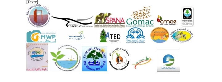 جمعيات مغربية مهتمة بحماية الطبيعة تعبر عن قلقها وانشغالها بمستقبل مصب وادي ملوية