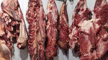 يَحْدُثُ في الجزائر.. بيع لحوم غير صالحة للاستهلاك البشري وحتى الحيواني
