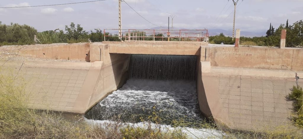 زيارة ميدانية لصحافيي جهة الشرق للوقوف على المخاطر التي تهدد مستقبل الموقع البيولوجي لمصب ملوية