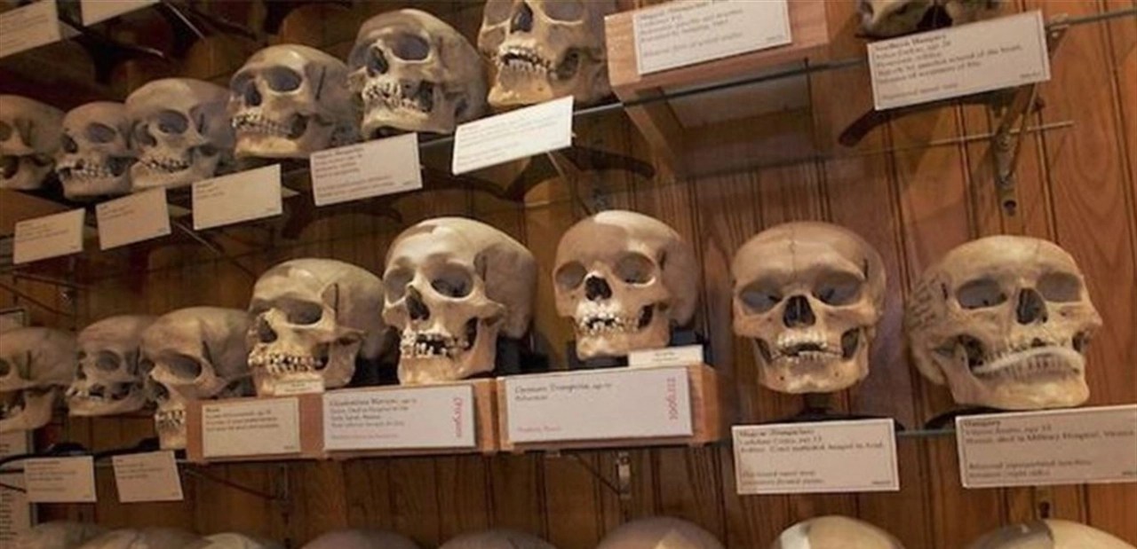 “بُون” الجزائري يَنْحني لعاصفة جماجم اللصوص ويُفَضِّلُ السكوت