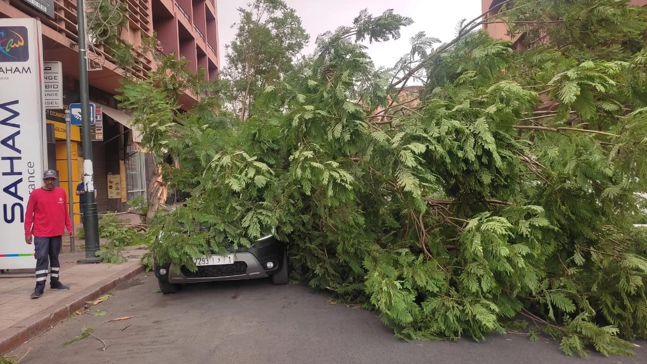 نشرة إنذارية: رياح عاصفية مرتقبة بعد غد الأحد بعدد من أقاليم المملكة