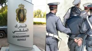 بعد مراقبة دقيقة.. درك بركان يضع يده على صيد ثمين