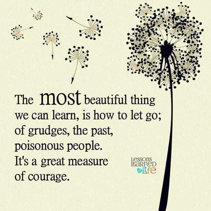 wp-1437895026497 image