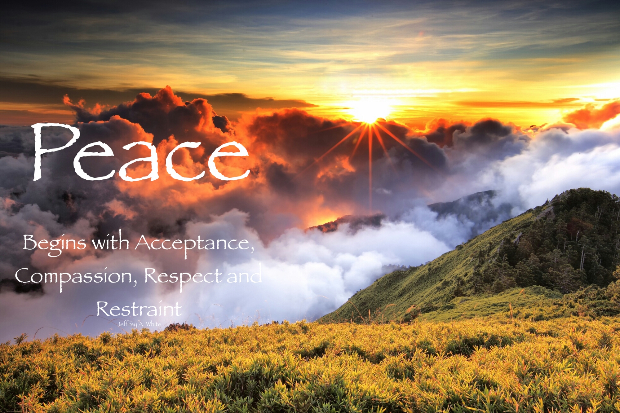 wp-1443388063156 image