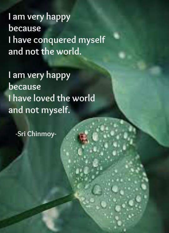 wp-1457242917089 image