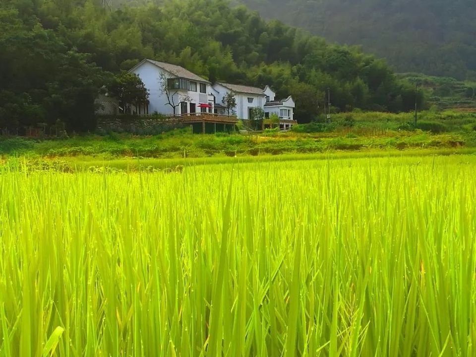 mmexport1549084821345