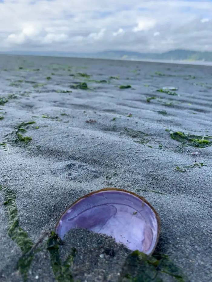 things to do on vashon island