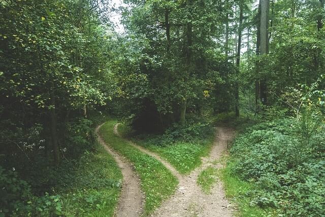 Two paths diverging to show process of purchase