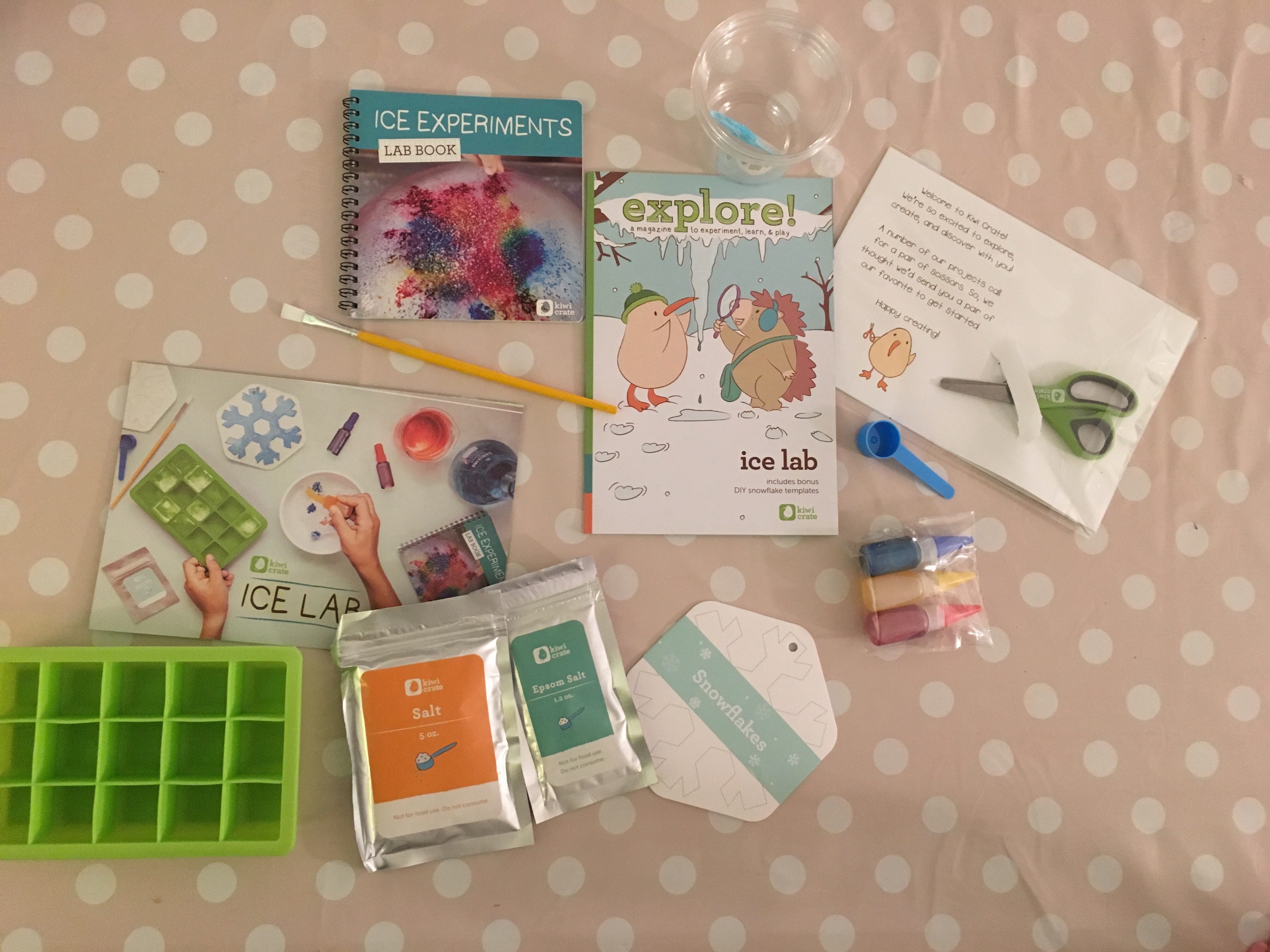 OurFavBox Review of KiwiCrate - KiwiCrate box content