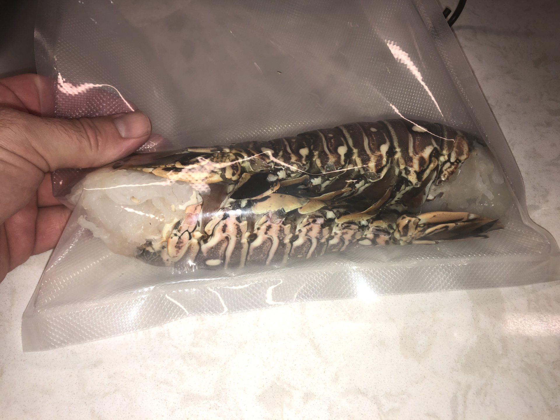 How to Sous Vide Lobster Tails with Shell Our Functional Farmhouse
