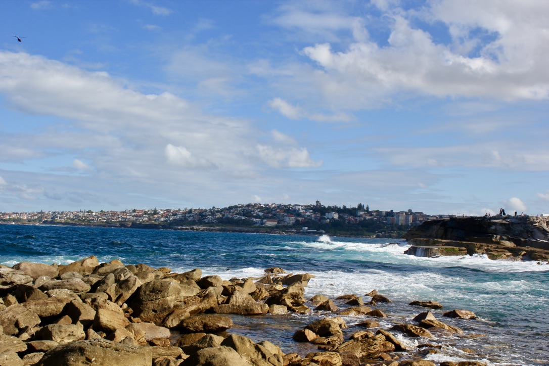 Bondi Bronte32