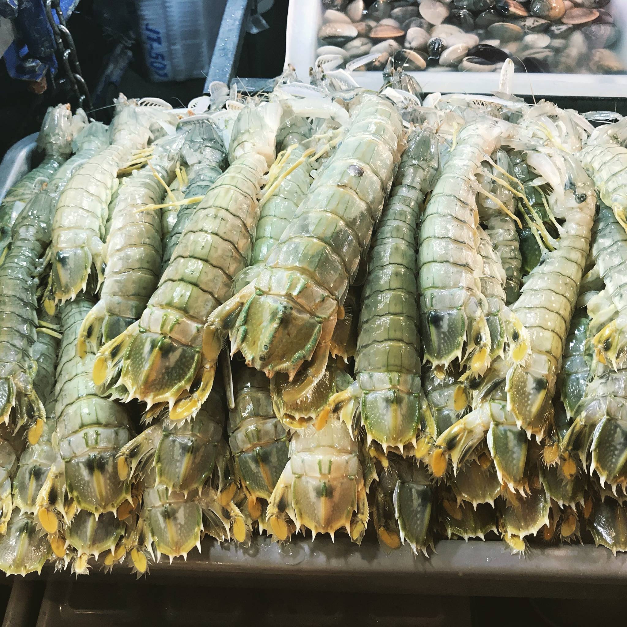 Phuket52