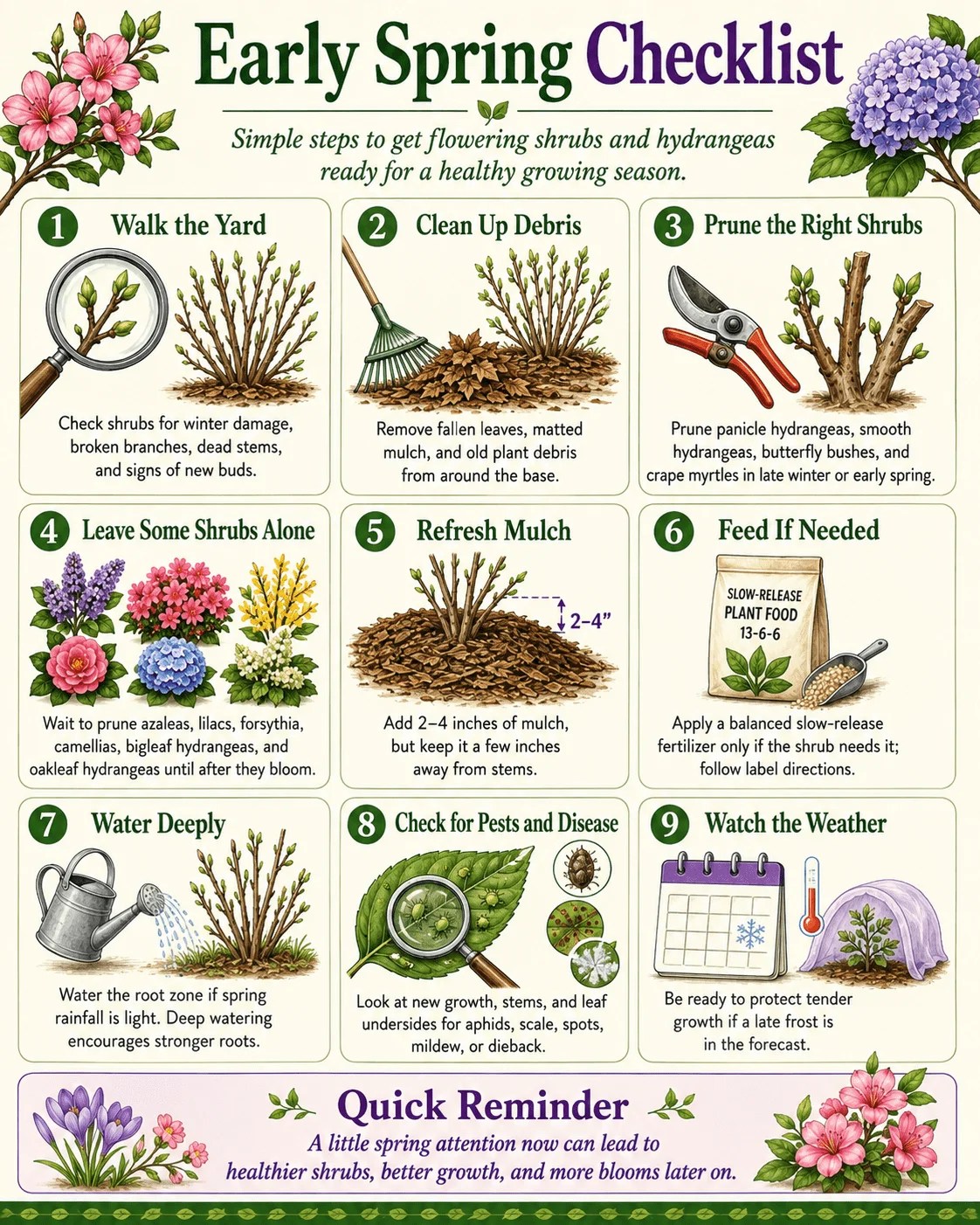 Early spring checklist for shrubs and hydrangeas
