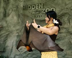 Hidden Mini Zoo
