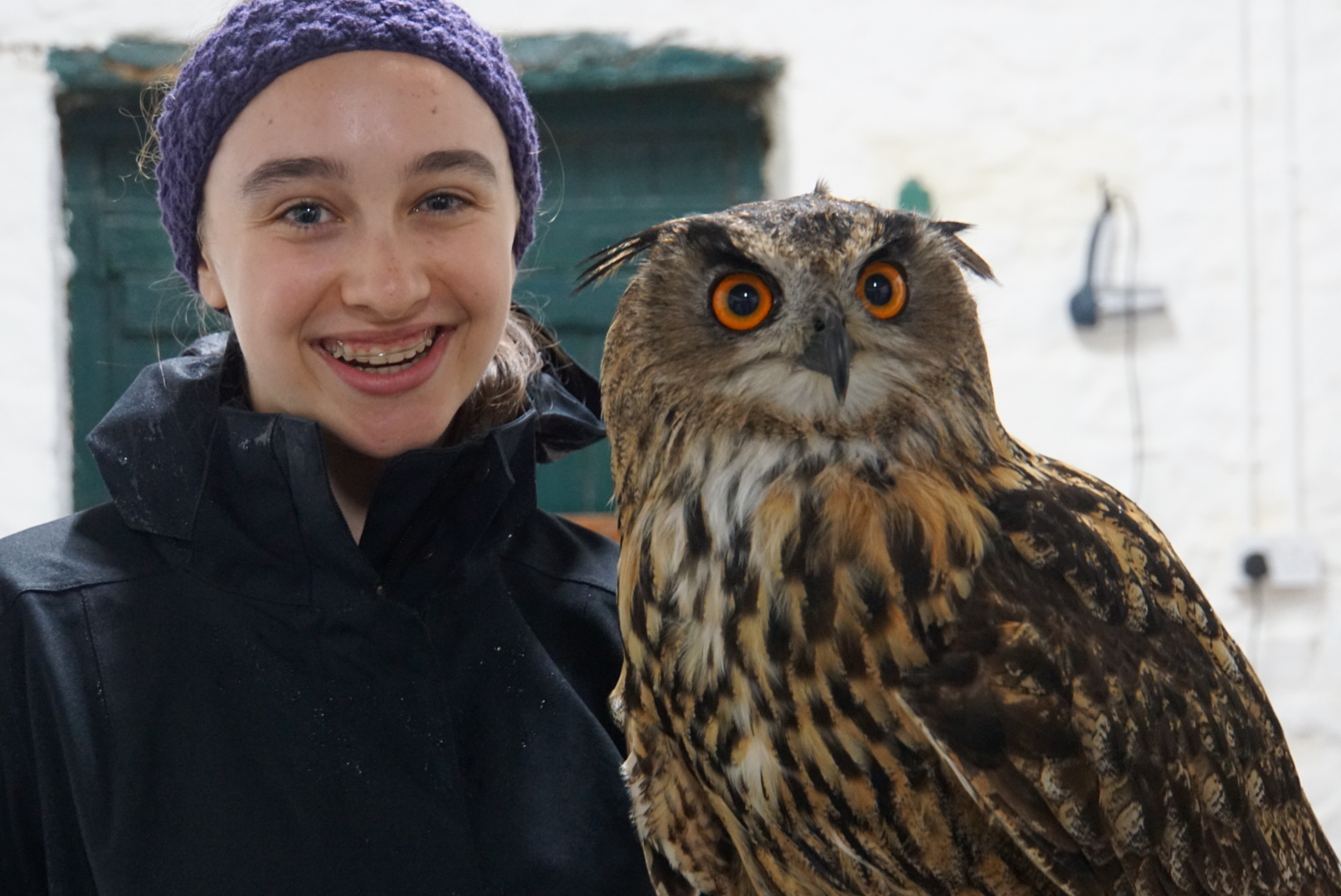 Hope’s Animal Adventures Hawk Walk at Ashford Castle, Ireland