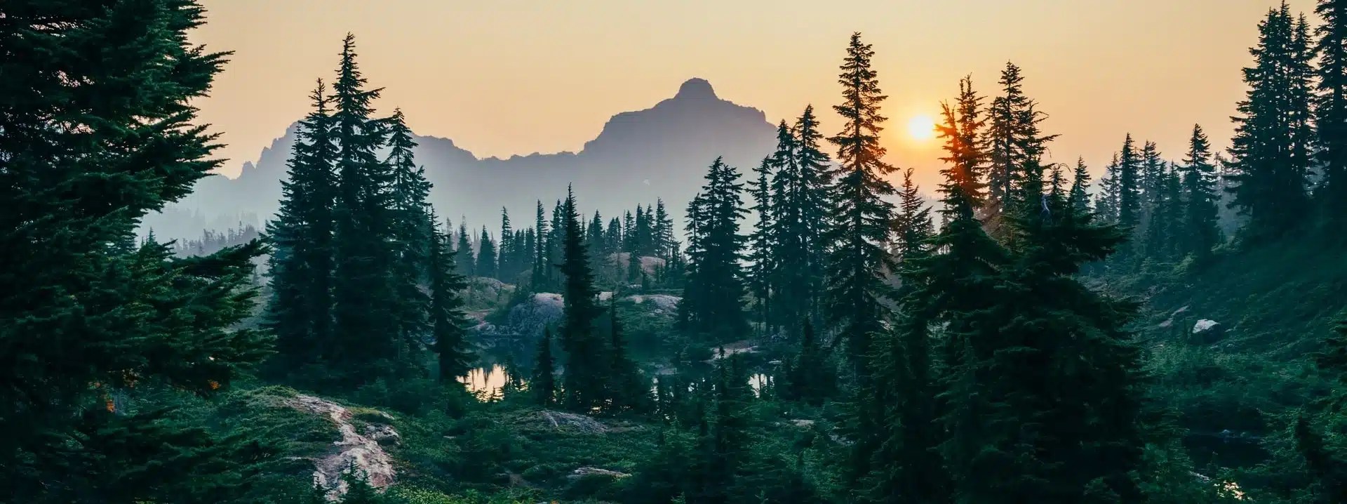 Wilderness landscape