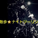 🎌豚の散歩🌟ナイトツーリング🎌