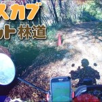 [ツーリング] 近所のフラット林道をクロスカブで走ってみる（山手林道） [モトブログ]