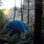 キター！！やつらが、暗闇に響く絶叫、心霊ソロキャンプ