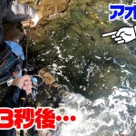 陸から海から釣りしまくった結果…