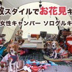 【キャンプ】-お座敷スタイルでお花見キャンプ- 犬連れ女性キャンパー
