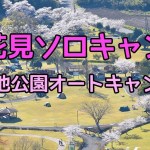 【お花見ソロキャンプ】観音池公園オートキャンプ場