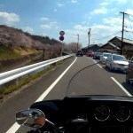 【モトブログ】ハーレー 岐阜 各務原 犬のご飯と桜並木ツーリング！！