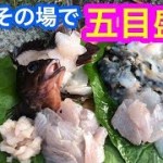 【福浦岸壁釣り】釣った魚をその場で捌いて食べる【コラボ釣り】