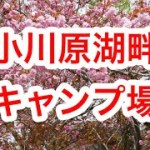 [三沢]小川原湖畔キャンプ場