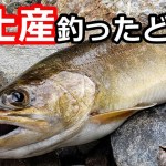 渓流キャンプの撮影後…嫁にお土産を釣るぞ！