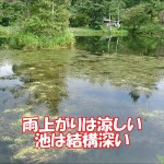 八千穂高原駒出池キャンプ場