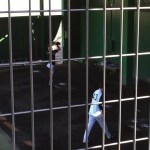 【桃太郎の阪神キャンプ密着】守屋投手が山本昌臨時コーチの指導を受ける