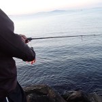 ブラックバス釣り　朝　むずい釣れません（解説あり）