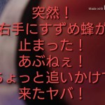 秋のツーリング！高取城跡から曽爾高原