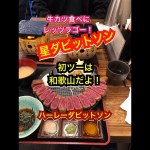ハーレーダビットソンツーリング　チームBOSS