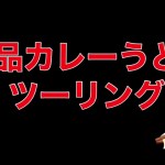 ハーレー仲間と「カレーうどん」ツーリング！