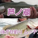 芦ノ湖　春の泳がせ釣り ムーチング