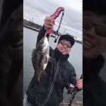 アウトドアｃｈ作成第一弾！！チヌ釣りの一コマ