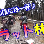 【林道ツーリング】爽やかフラット林道ツーリング【愛知県　オフロード】