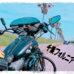 【千葉フォルニア】久しぶりのツーリング　マジ、気持ちいい～