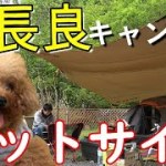 犬とキャンプ②奥長良キャンプ場 ペットサイト ＆ ドッグランが広すぎて感動!