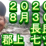 鮎釣り　長良川　釣果　小澤剛　友釣り無双