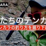 テンカラの釣り方を掘り下げる〜俺たちのテンカラ渓流釣り〜『後編』tenkara techniques.