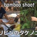 フィリピンで自給自足タケノコ狩り、調理そして猫と食べる【ジャングルクッキング】【日本語字幕】