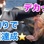 【穴釣り】高級魚入れ食い‼︎テトラで五目釣り【前編】