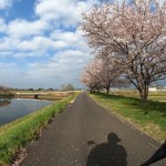 お花見ツーリング　群馬の水郷公園